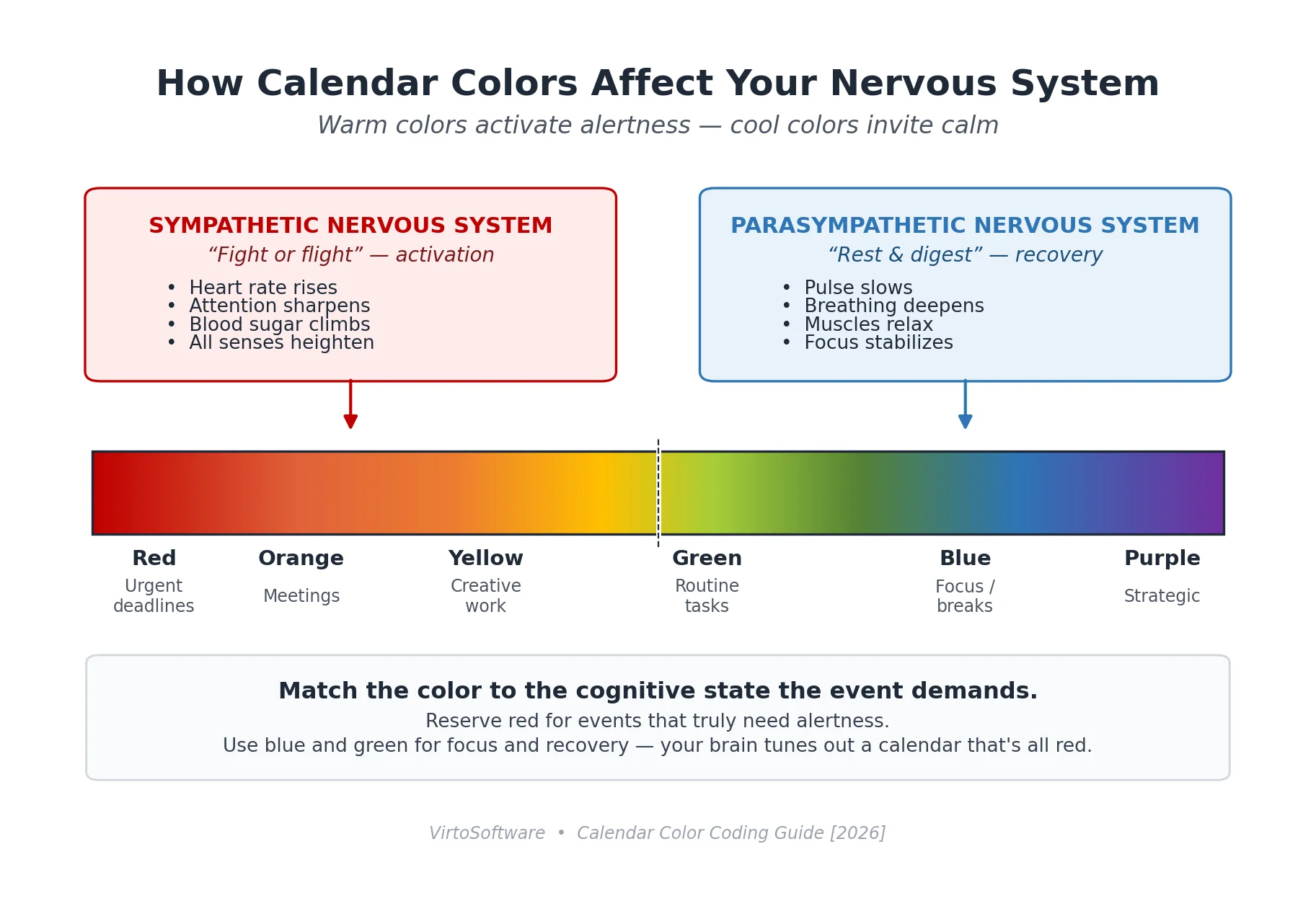 Diagram of warm vs cool color spectrum mapped to nervous system responses