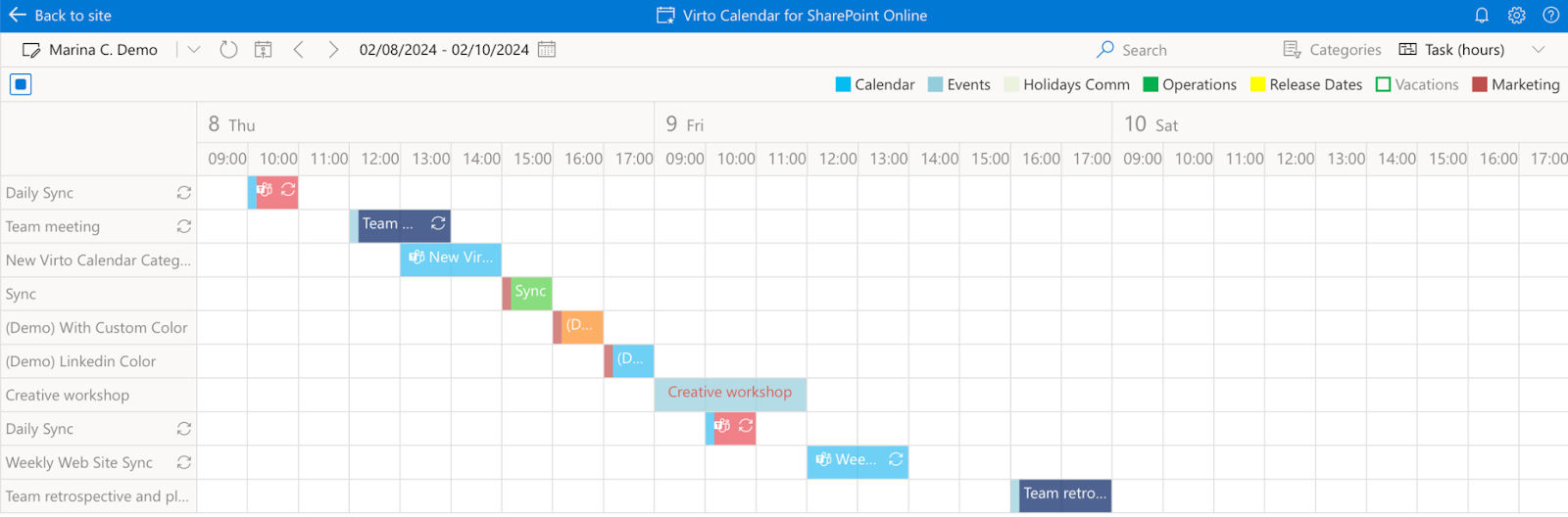 Pic. 8. Example Virto Calendar Gantt view.