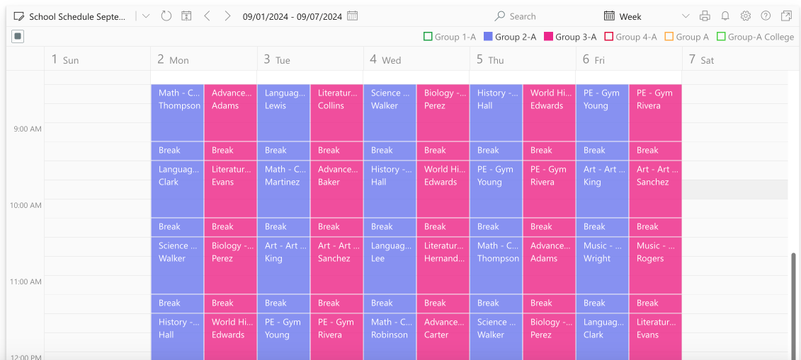 Pic. 9. Example overlaid schedule in Virto Calendar.